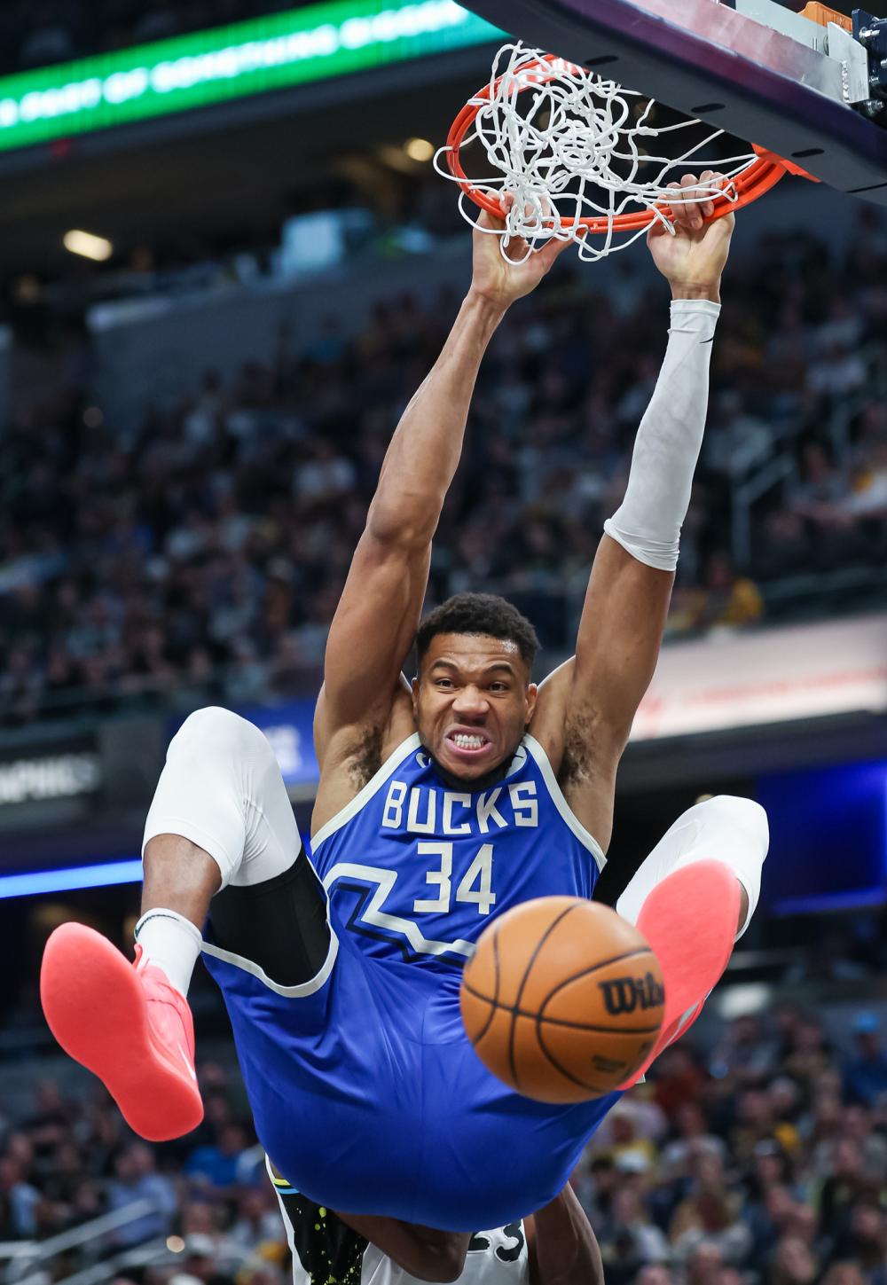 整格外引人 整格外引人