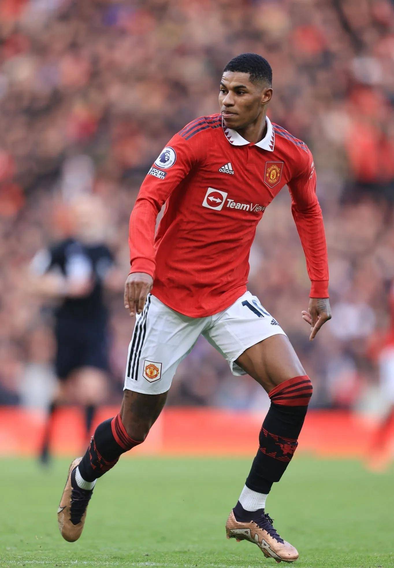 的多样化成 的多样化成